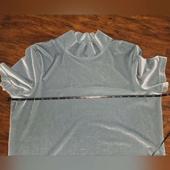 Madewell Small Seafoam Green Velvet Turtleneck Short Sleeve Top - Picture 9 of 12